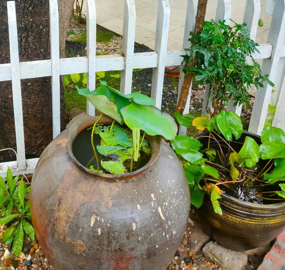 Lotus Corner - Heritage B&B Luang Prabang Eksteriør billede