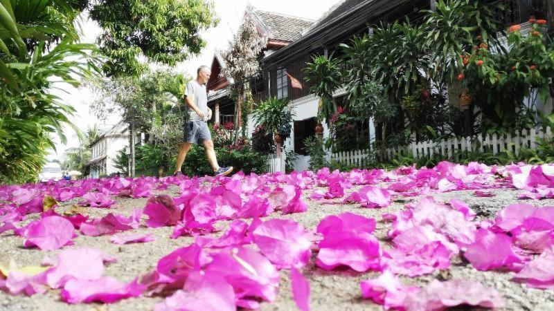 Lotus Corner - Heritage B&B Luang Prabang Eksteriør billede